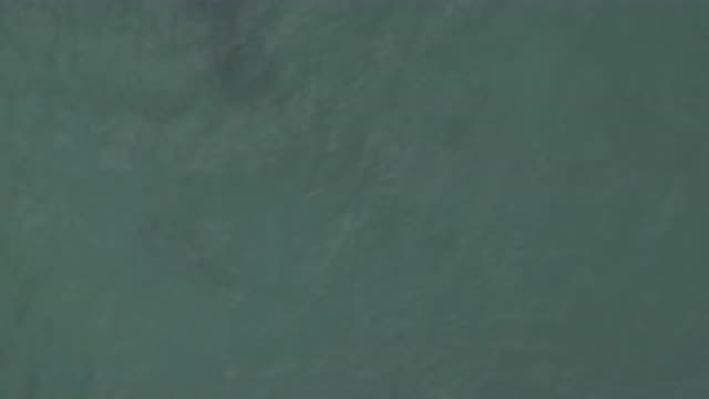 M01-20-0844-01-22-20-east-cape-bcs-mexico-DJI_0676_0001.mp4
