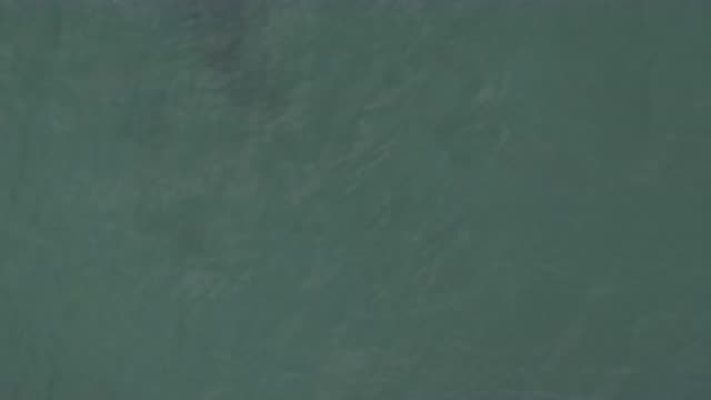 M01-20-0845-01-22-20-east-cape-bcs-mexico-DJI_0676_0002.mp4