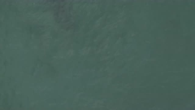 EAST CAPE BCS MEXICO-2019: Into The Depths Of The Green Unknown Waters Of The
