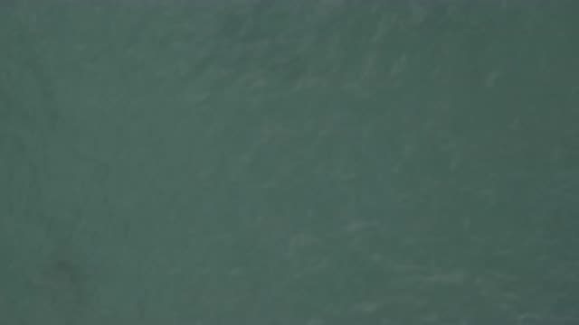 M01-20-0848-01-22-20-east-cape-bcs-mexico-DJI_0677_0001.mp4