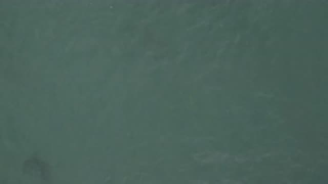 EAST CAPE BCS MEXICO-2019: A Calm Body of Water Showing Something Hidden Beneath