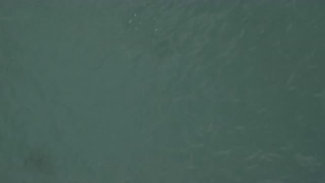 EAST CAPE BCS MEXICO-2019: Overhead View Of A Green Lake Or Ocean With Water