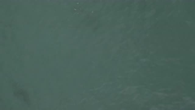 EAST CAPE BCS MEXICO-2019: Recording Of The Deep Ocean In Top Side View During