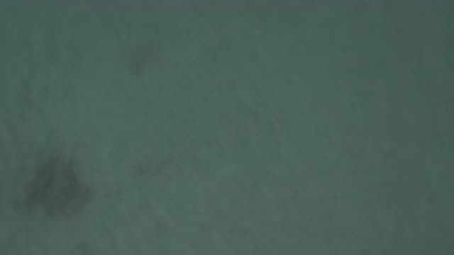 EAST CAPE BCS MEXICO-2019: View From High Above Body Of Water Gray Shapes Under