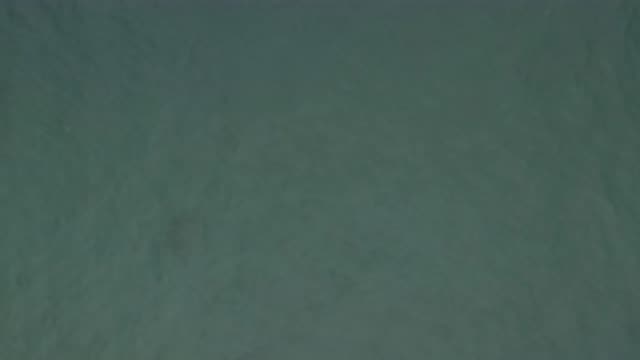 EAST CAPE BCS MEXICO-2019: A Clean And Deep Ocean
