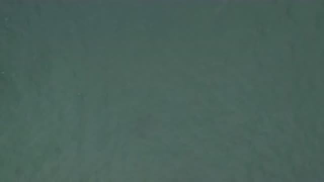 M01-20-0855-01-22-20-east-cape-bcs-mexico-DJI_0678_0003.mp4