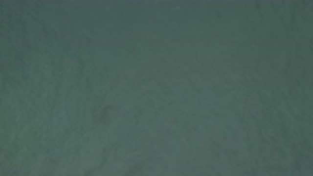 EAST CAPE BCS MEXICO-2019: Amazing Aerial Footage Of An Ocean In East Cape