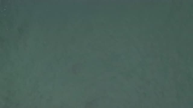 EAST CAPE BCS MEXICO-2019: Aerial View From High Above Body Of Water Dark Shape Moving