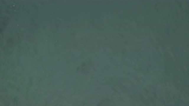 M01-20-0858-01-22-20-east-cape-bcs-mexico-DJI_0678_0006.mp4