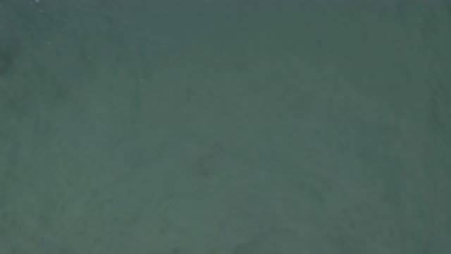 EAST CAPE BCS MEXICO-2019: Green And Deep Ocean Is Fun To See