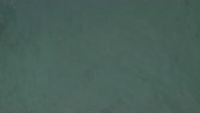 EAST CAPE BCS MEXICO-2019: View From High Above Body Of Water Dark Shape Moves
