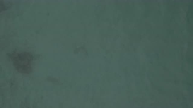 EAST CAPE BCS MEXICO-2019: Aerial View of Gray Shape Swimming Beneath Water