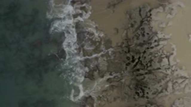 EAST CAPE BCS MEXICO-2019: The Most Perfect View That Humanity Can Have Is Of