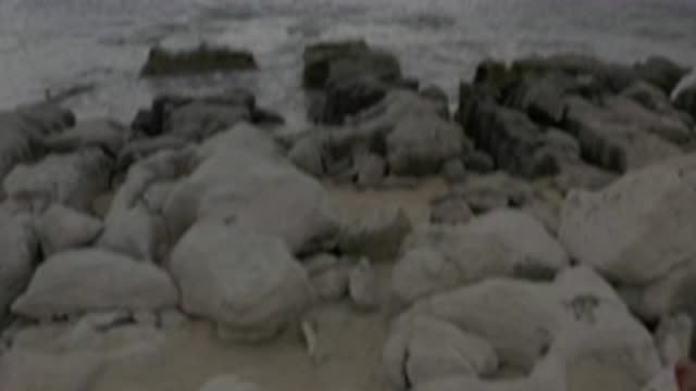 M01-20-0879-01-22-20-east-cape-bcs-mexico-DJI_0682_0007.mp4