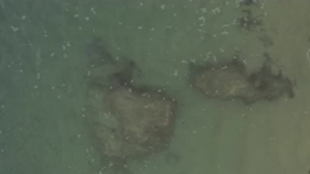 EAST CAPE BCS MEXICO-2019: The Perfection Of Water When It Is Not Mistreated By