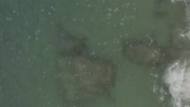 EAST CAPE BCS MEXICO-2019: Mother And Baby Dolphin Swimming Unencumbered In The