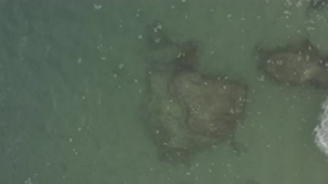 EAST CAPE BCS MEXICO-2019: Murky Overview Of Coral Reef