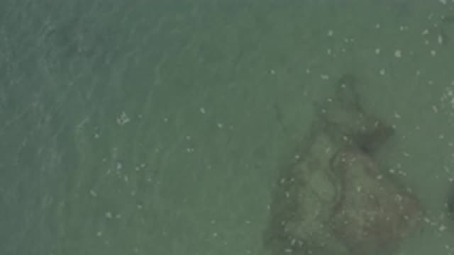 EAST CAPE BCS MEXICO-2019: Overhead View Of Large Grey Object Underwater On A