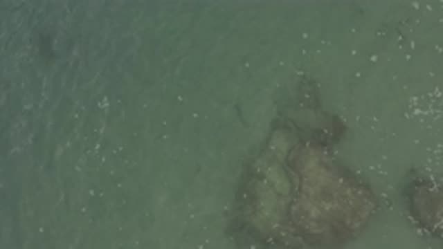 M01-20-0892-01-22-20-east-cape-bcs-mexico-DJI_0685_0002.mp4