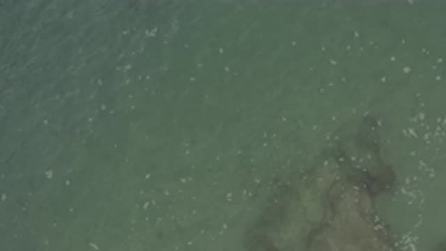 EAST CAPE BCS MEXICO-2019: You Can See The Rocks On The Bottom Of The Sea