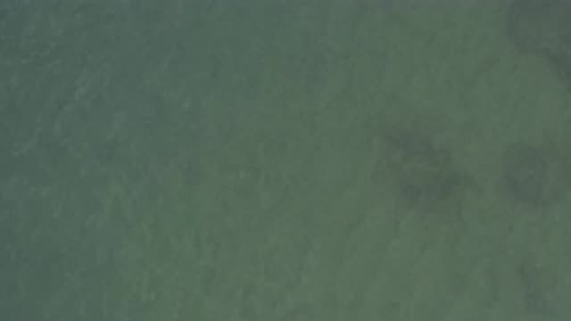 EAST CAPE BCS MEXICO-2019: Clear Green Water In A Shallow Pond Sunlight And