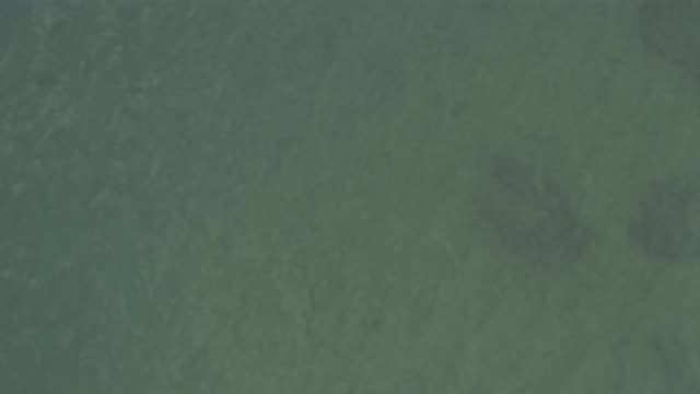 M01-20-0895-01-22-20-east-cape-bcs-mexico-DJI_0686_0002.mp4