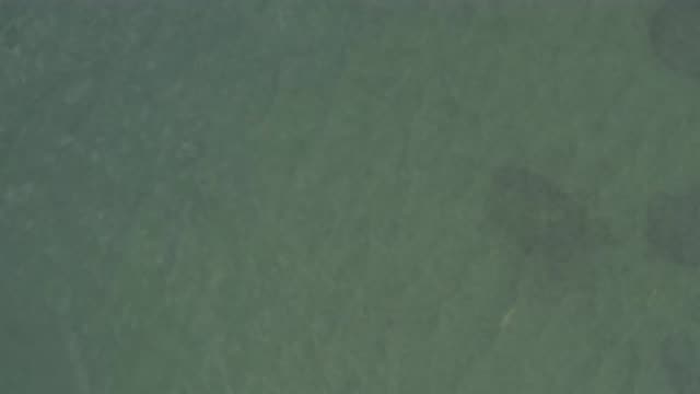 EAST CAPE BCS MEXICO-2019: Smooth Waves And Ocean Deep