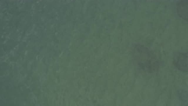 EAST CAPE BCS MEXICO-2019: Ocean Lake Water Waves Current Green Spots Dark Open