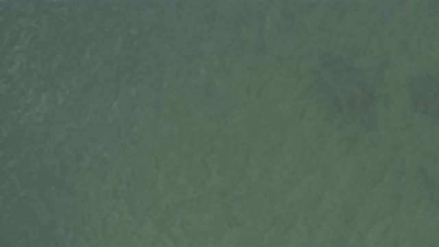 M01-20-0898-01-22-20-east-cape-bcs-mexico-DJI_0686_0005.mp4