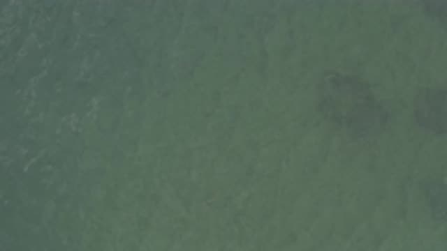 M01-20-0899-01-22-20-east-cape-bcs-mexico-DJI_0686_0006.mp4