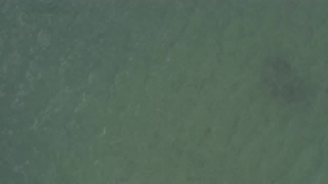 M01-20-0902-01-22-20-east-cape-bcs-mexico-DJI_0686_0009.mp4