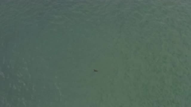 EAST CAPE BCS MEXICO-2019: Video Of The Ocean On A Calm Day Translucent Green