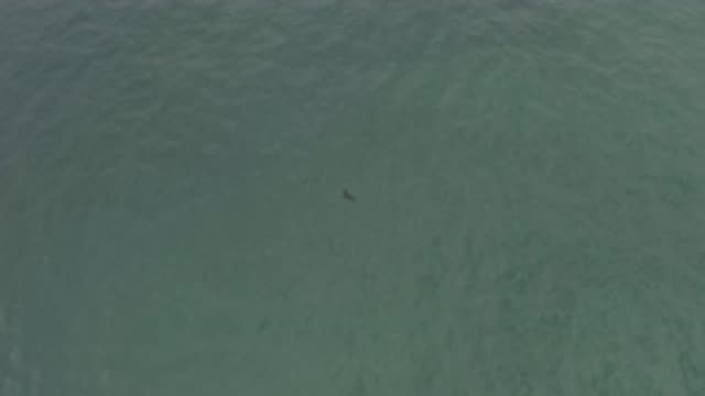 M01-20-0912-01-22-20-east-cape-bcs-mexico-DJI_0687_0010.mp4
