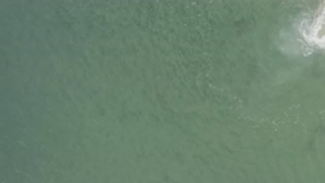 EAST CAPE BCS MEXICO-2019: Aerial View of Gray Shapes Moving Across Water