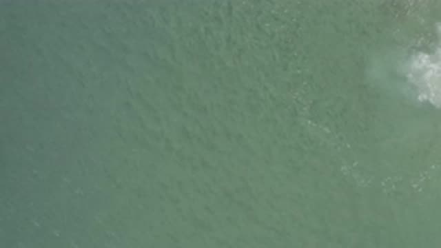 EAST CAPE BCS MEXICO-2019: Live Video Of Natural Movement Of The Ocean And Its Waves
