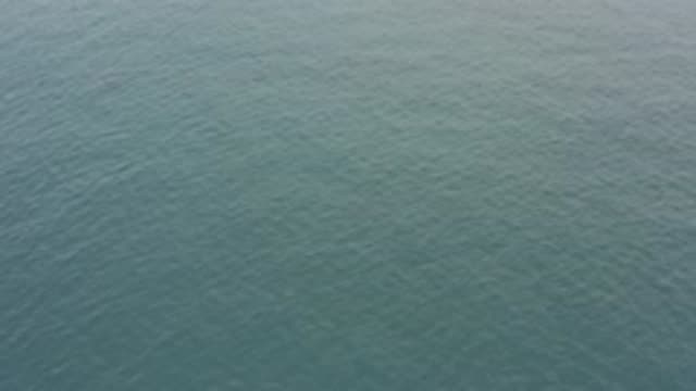 M01-20-0920-01-22-20-east-cape-bcs-mexico-DJI_0691_0001.mp4