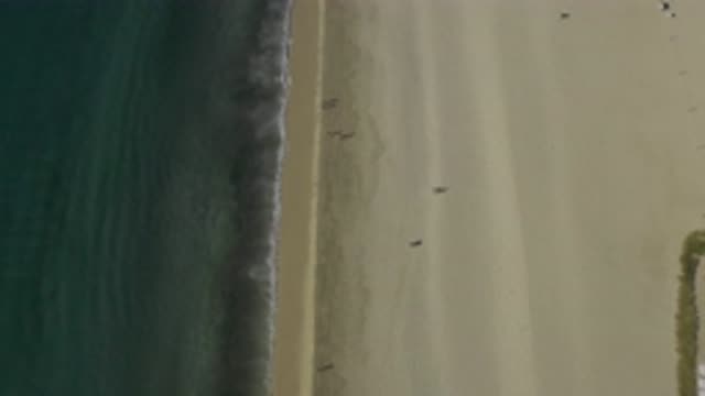 EAST CAPE BCS MEXICO-2019: Beach With Person In Above View