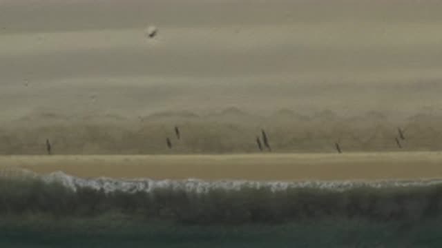 EAST CAPE BCS MEXICO-2019: People Walking On The Beach On A Cloudy Day During A