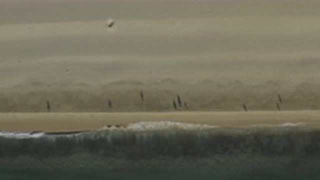 EAST CAPE BCS MEXICO-2019: A Lot Of People Walking On The Shoreline At A Beach
