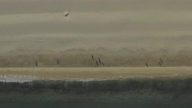 EAST CAPE BCS MEXICO-2019: Aerial View Of A Beach With People On Shore