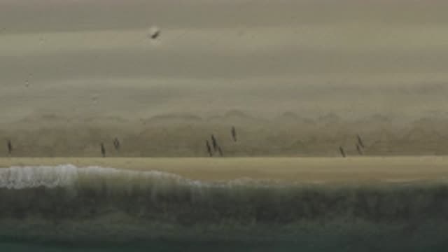 EAST CAPE BCS MEXICO-2019: An Aerial View Of Random People Walking On The Beach