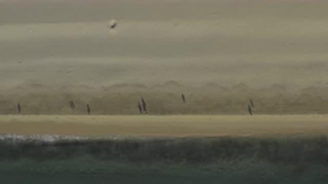 EAST CAPE BCS MEXICO-2019: Drone Footage Of People Walking By East Cape Beach In