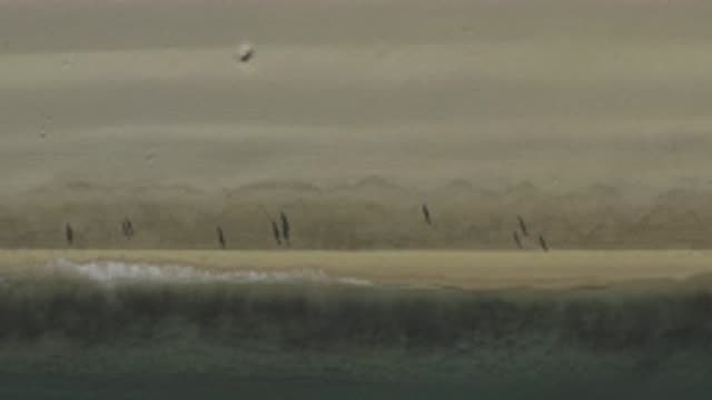 EAST CAPE BCS MEXICO-2019: People Walking Alone In The Sand Wearing Black