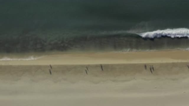 EAST CAPE BCS MEXICO-2019: Aerial Shot Of The Beach With People Walking On The Shore