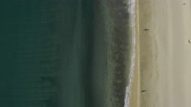 EAST CAPE BCS MEXICO-2019: Two People Walking Along The Ocean Beach As Gentle