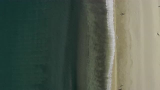 EAST CAPE BCS MEXICO-2019: A Wave Breaking Into The Beach Watched From Very High