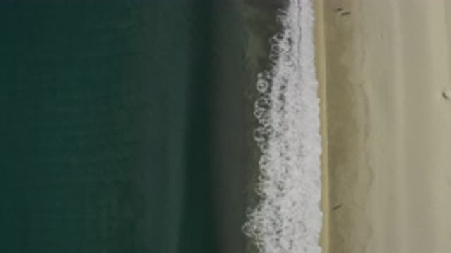 EAST CAPE BCS MEXICO-2019: A Beach With Blue Water Clean With Calm Waves