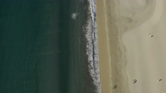 EAST CAPE BCS MEXICO-2019: View Of Blue Ocean Water And Tan Beach On A Clear Day