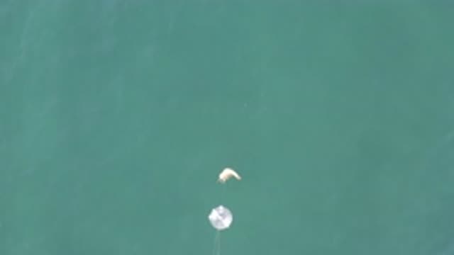 EAST CAPE BCS MEXICO-2019: A Recording Of Some Garbage Floating In The Middle Of