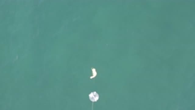 EAST CAPE BCS MEXICO-2019: Fishing Rod Hanging Over Water